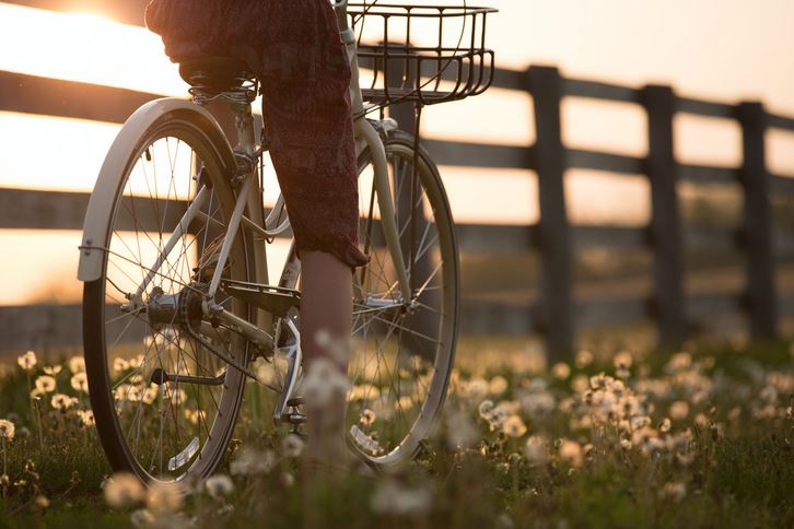 bike in fields