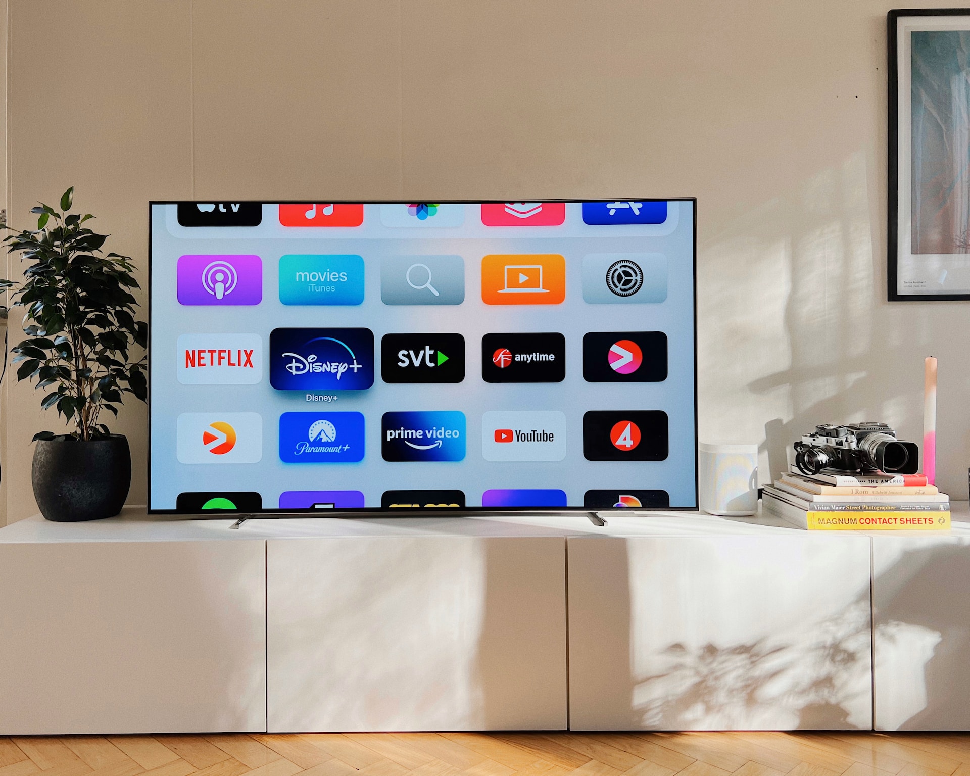 tv